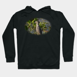 Yellow-crowned Night Heron Hoodie